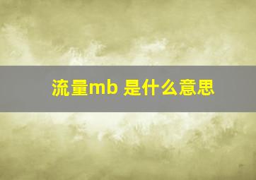 流量mb 是什么意思